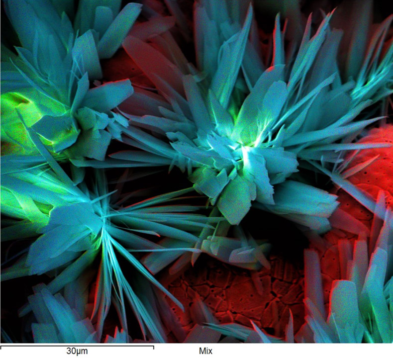 Synthesised Nanoflowers